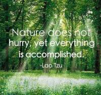 Nature-Quote-by-Lao-tzu